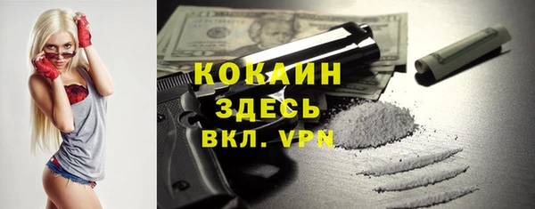 гашик Козловка