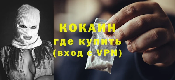 гашик Козловка