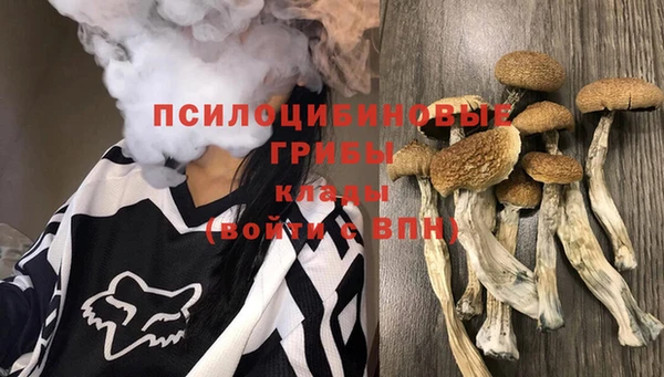 гашик Козловка