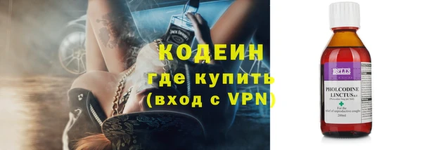 гашик Козловка