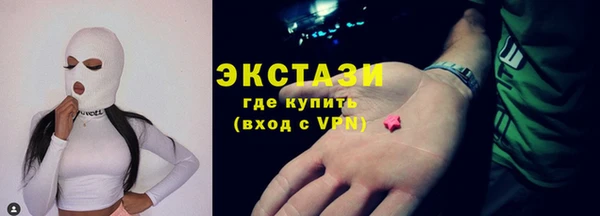 гашик Козловка