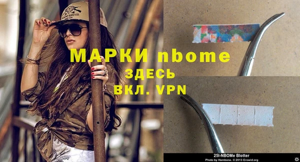 гашик Козловка