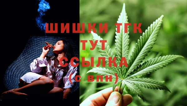 ECSTASY Кодинск