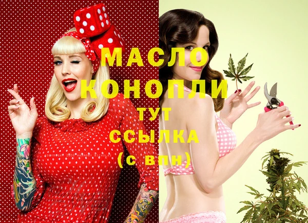 гашик Козловка
