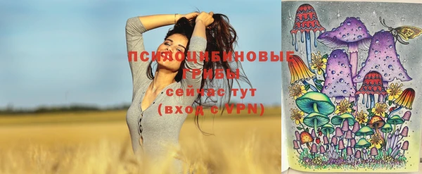 гашик Козловка